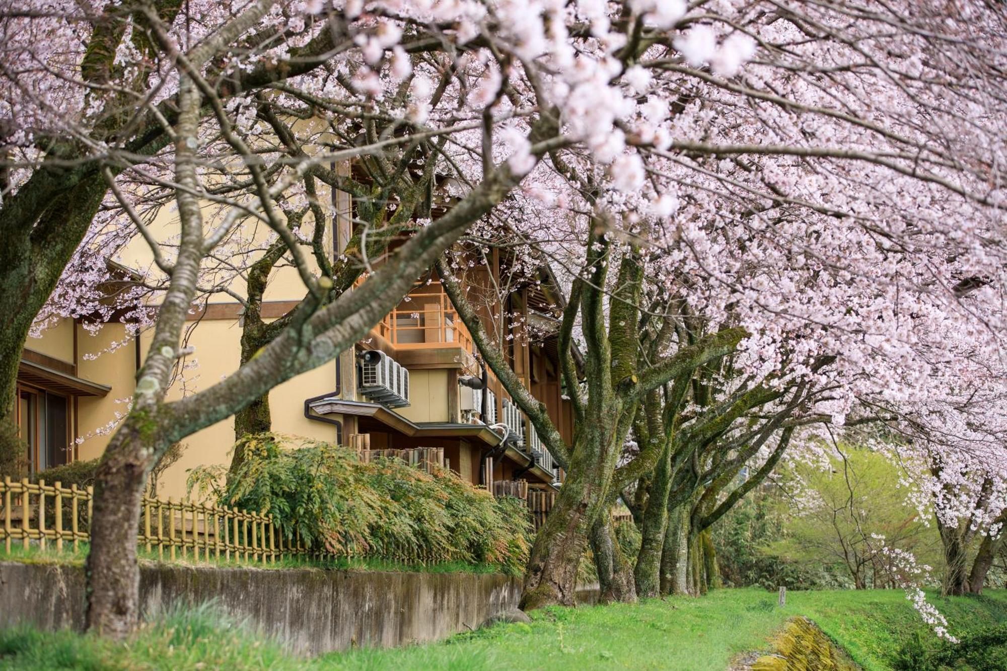 Takitei Hotel Kanazawa Exterior photo
